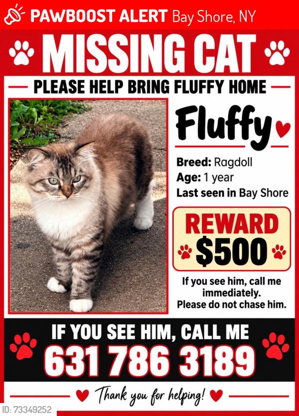 Lost Male Cat last seen 5th ave & walbridge ave, Bay Shore, NY 11706