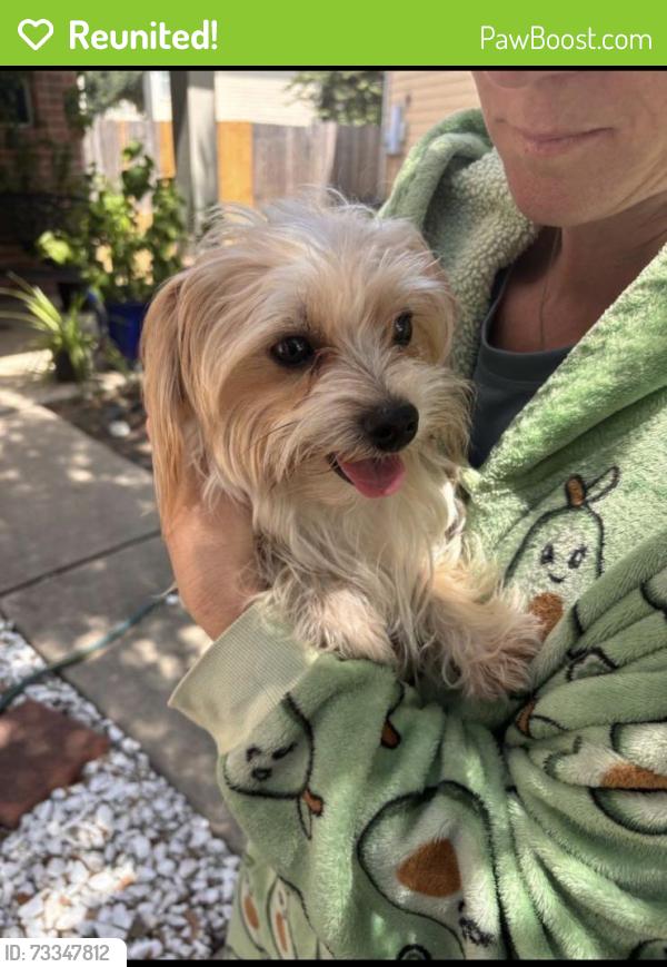 Reunited Male Dog last seen Muley Ln, Cypress, TX 77433