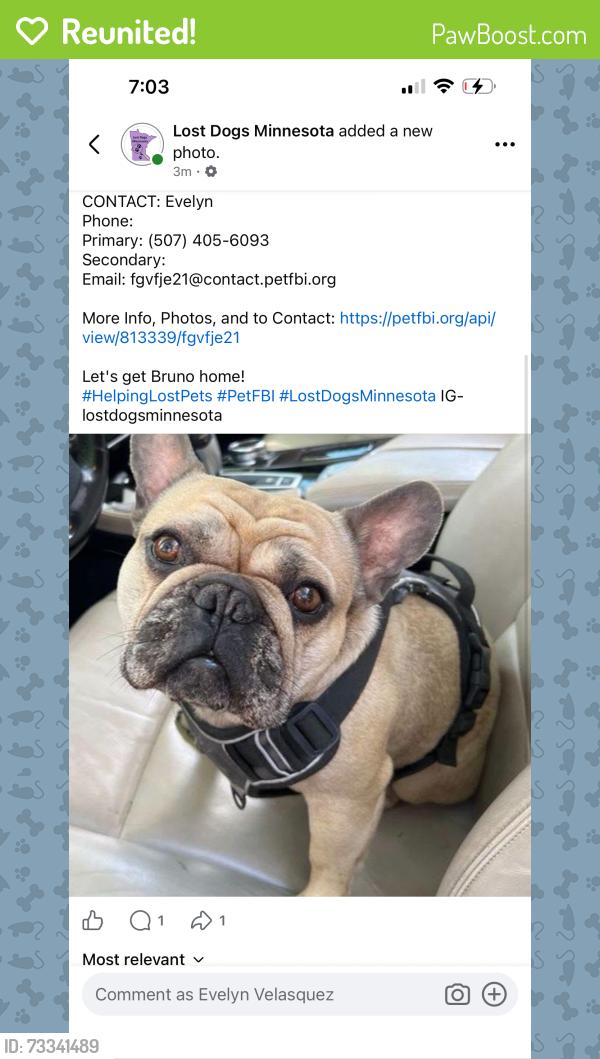 Reunited Male Dog last seen Sunset terrace elementary school, Rochester, MN 55901
