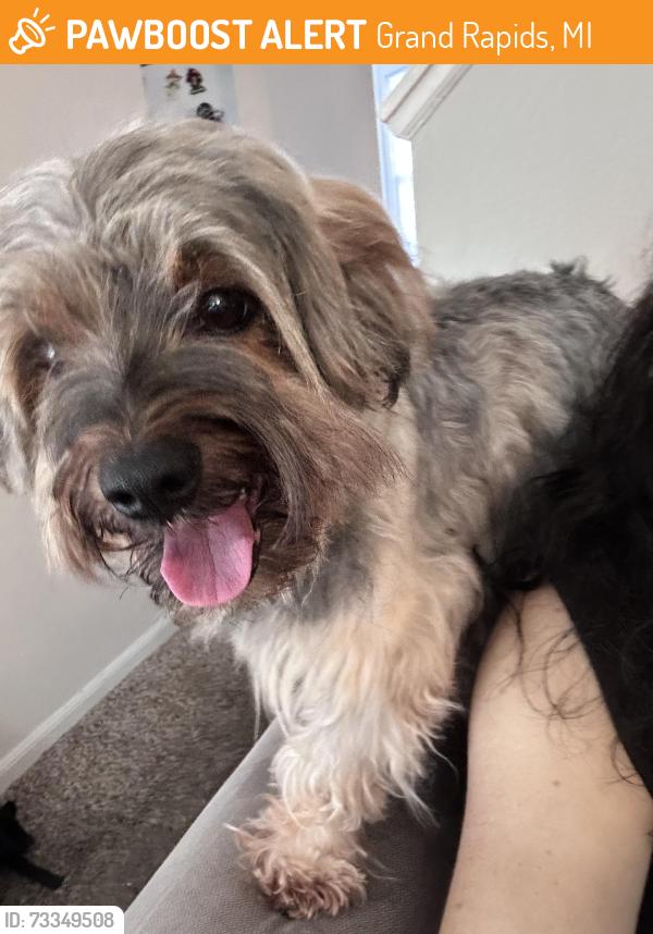 Found/Stray Male Dog last seen Breton, Grand Rapids, MI 49508