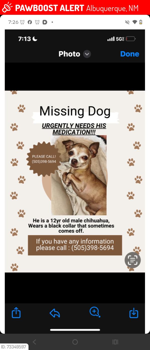 Lost Male Dog last seen Near Virginia stse, Albuquerque, NM 87108