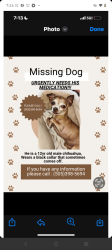 Lost Male Dog last seen Near Virginia stse, Albuquerque, NM 87108