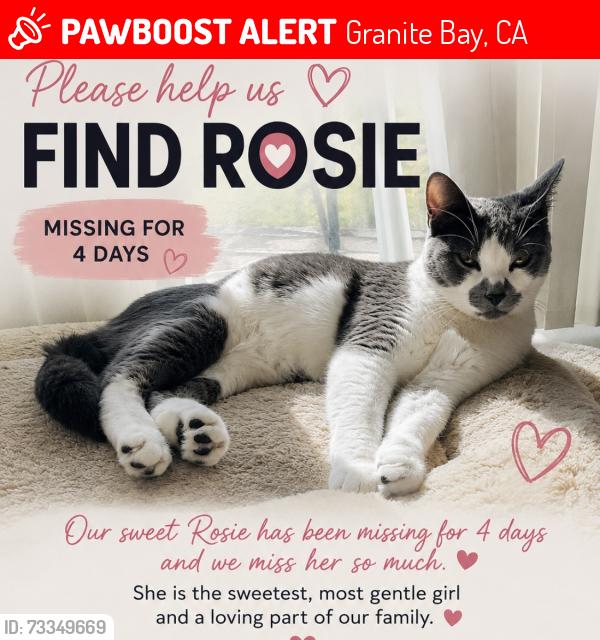 Lost Female Cat last seen E Roseville, Granite Bay, CA 95746