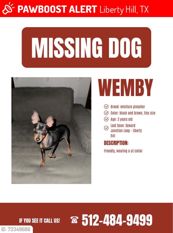 Lost Male Dog last seen Seward Junction Loop, Liberty Hill, TX 78642