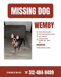 Lost Male Dog last seen Seward Junction Loop, Liberty Hill, TX 78642