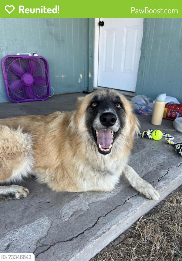 Reunited Male Dog last seen Ranch hse Rd., Willow Park, TX 76087