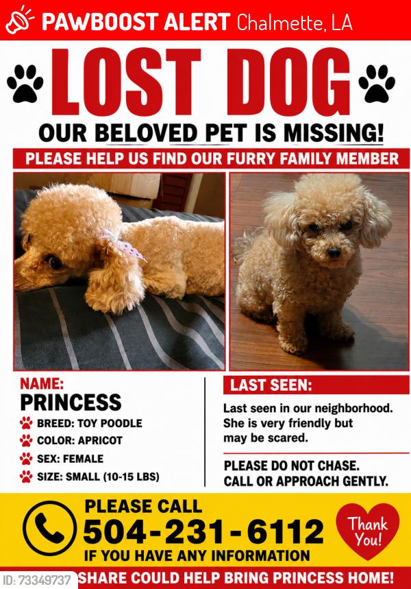 Lost Female Dog last seen Packenham ace, Chalmette, LA 70043