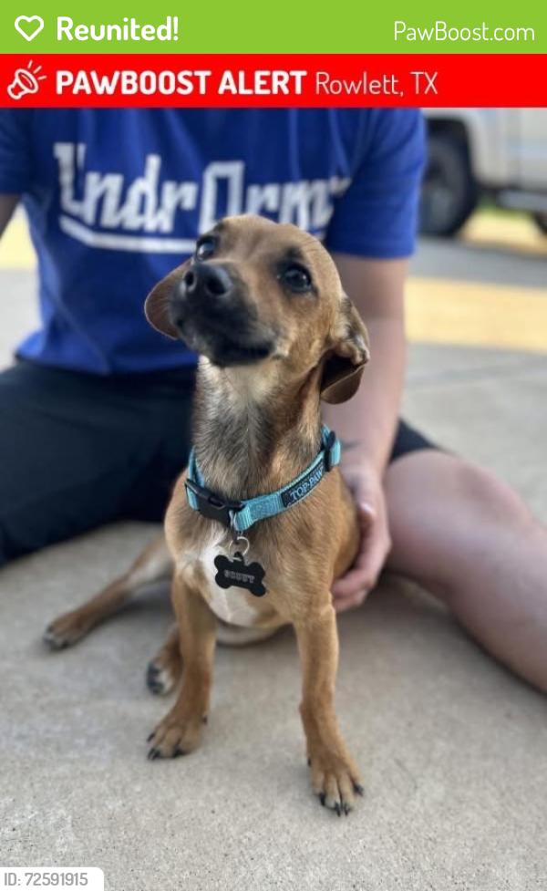Reunited Male Dog last seen Southridge & Main, Rowlett, TX 75088