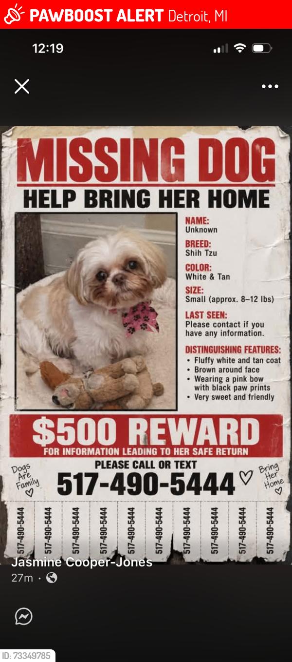 Lost Female Dog last seen Grandriver, Detroit, MI 48223