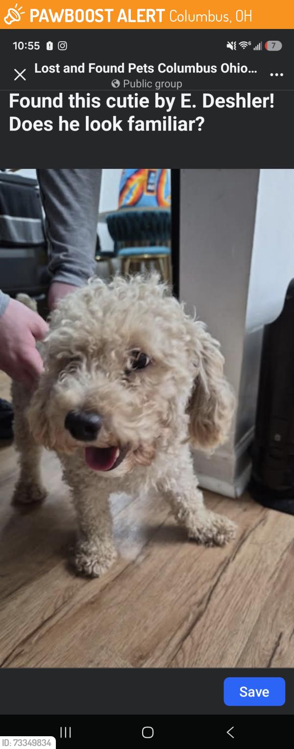 Found/Stray Male Dog last seen Coburg, Columbus, OH 43227
