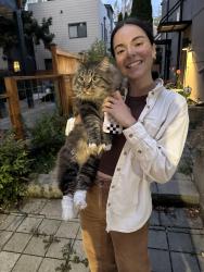 Found/Stray Unknown Cat last seen 33rd and E Spring St, Seattle, WA 98122