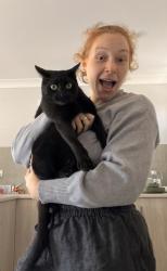 Lost Female Cat last seen Sylvan drive, Moore Park Beach, QLD 4670