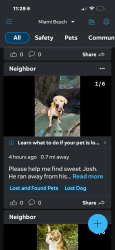 Reunited Male Dog last seen Near, Miami Beach, FL 33139