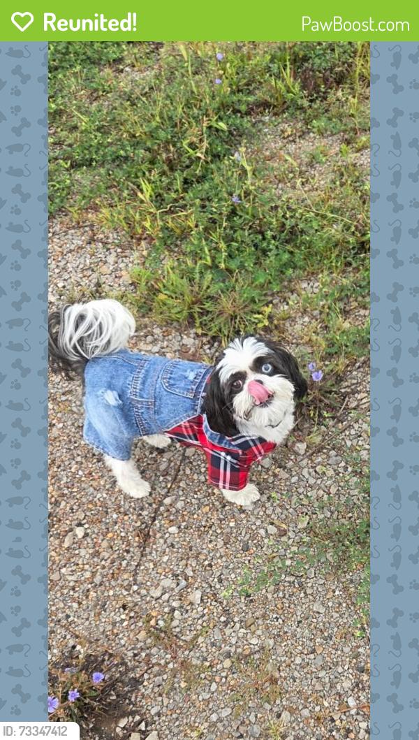 Reunited Male Dog last seen N/A, Atlanta, GA 30305