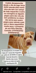 Lost Female Dog last seen Padaria dois irmãos, Bairro Fazenda Severina, MG 33927-048