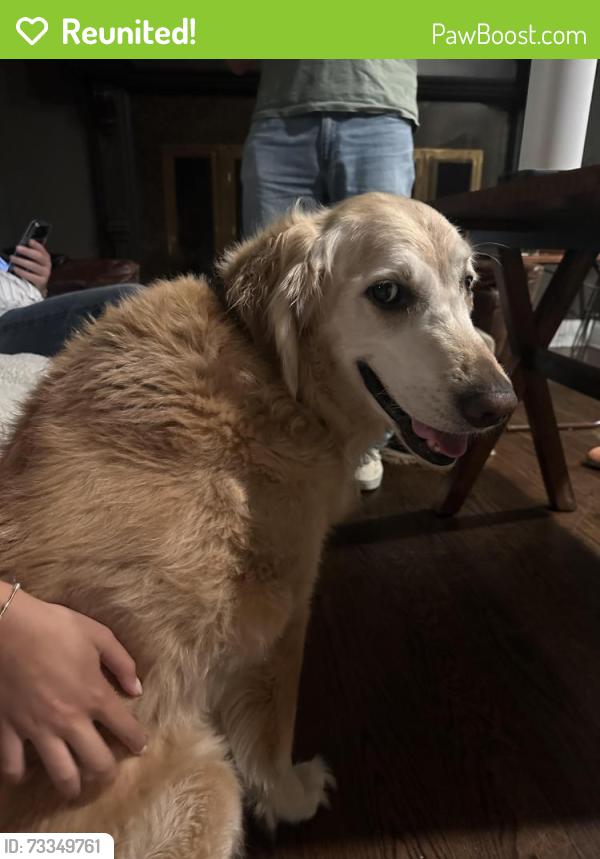 Reunited Male Dog last seen Cold Spring Harbor Fish Hatchery, Cold Spring Harbor, NY 11724