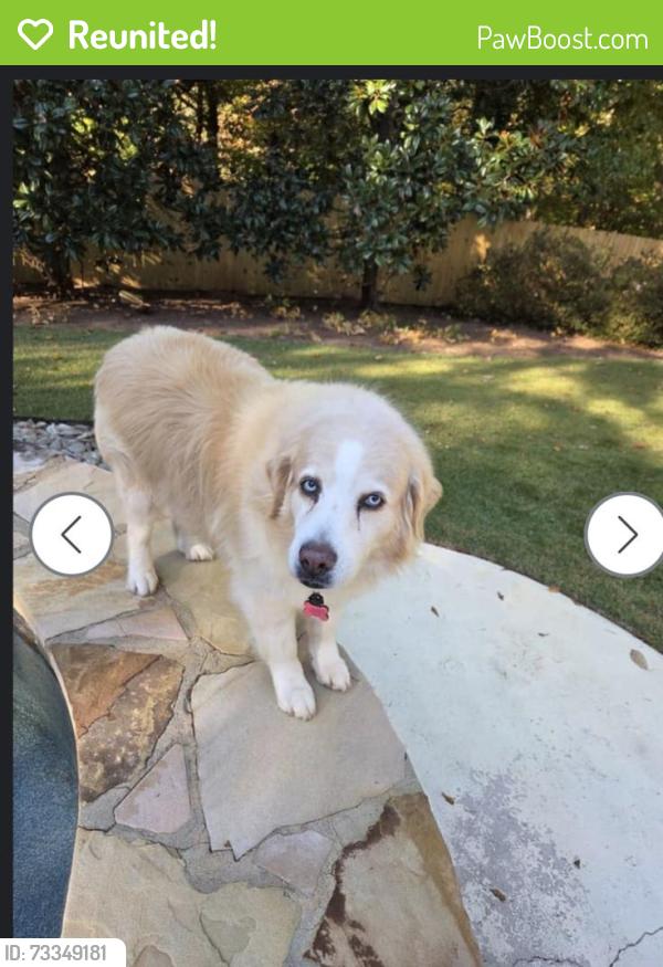 Reunited Female Dog last seen Legacy Park Rd Verdae, Greenville, SC 29607
