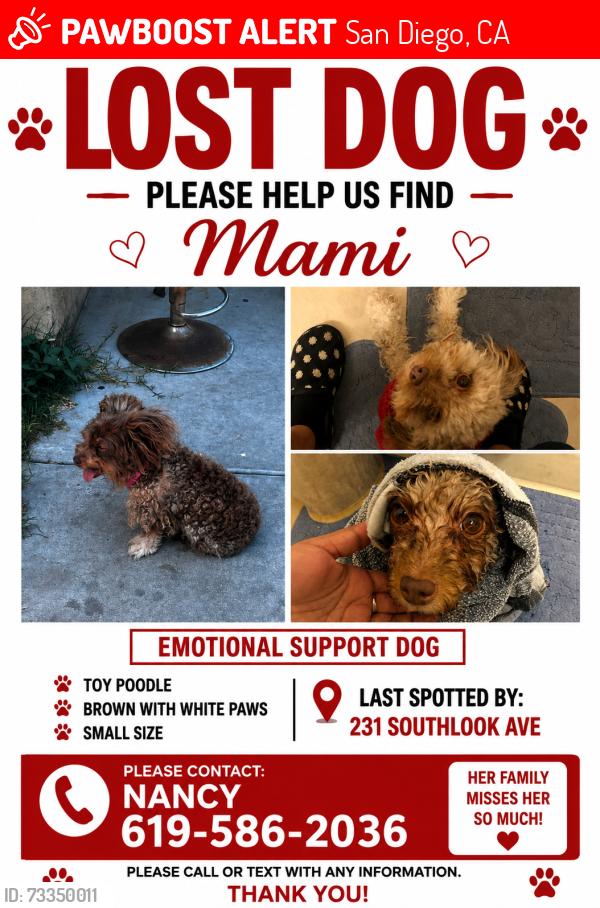 Lost Female Dog last seen Near southlook ave san diego, ca 92113, San Diego, CA 92113