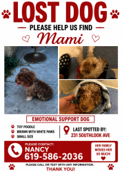 Lost Female Dog last seen Near southlook ave san diego, ca 92113, San Diego, CA 92113