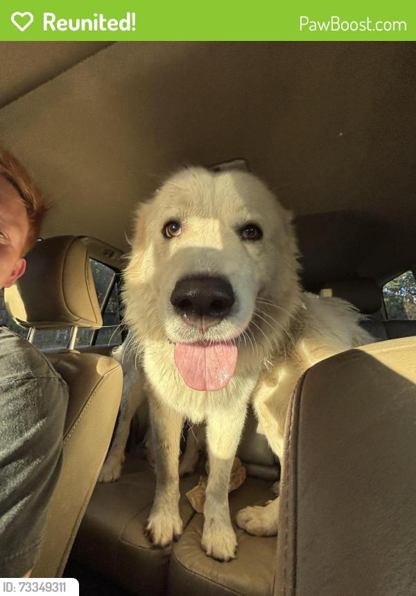 Reunited Unknown Dog last seen Near Black Oak Ln River Oaks, TX 76114 United States, Fort Worth, TX 76114