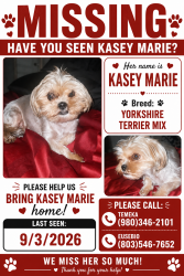 Lost Female Dog last seen Near henry thomas rd, Richland County, SC 29061