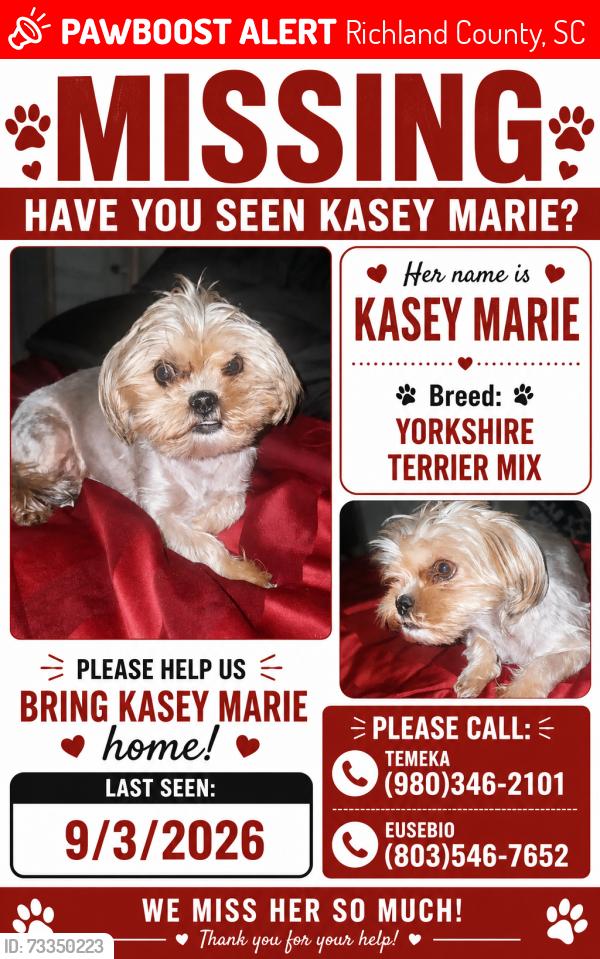 Lost Female Dog last seen Near henry thomas rd, Richland County, SC 29061