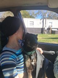 Lost Male Dog last seen Butternut and rice road, Milton, FL 32583