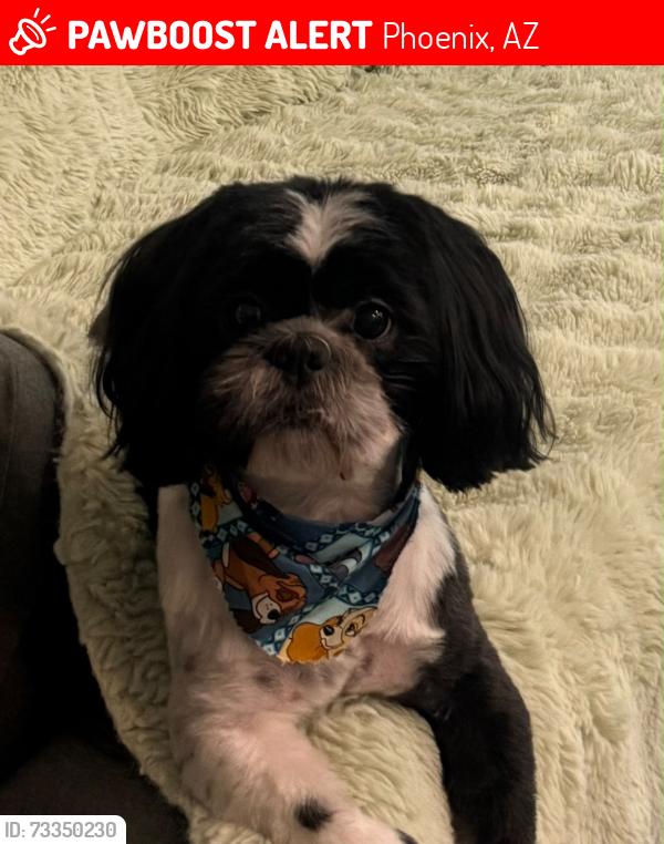 Lost Male Dog last seen The arbors community, Phoenix, AZ 85042