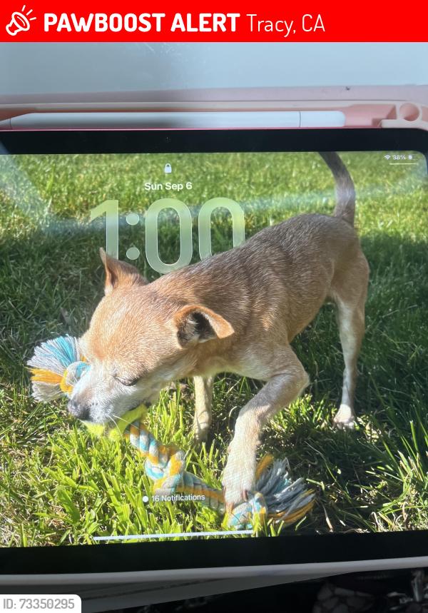 Lost Male Dog last seen Corral Hallow, Tracy, CA 95376
