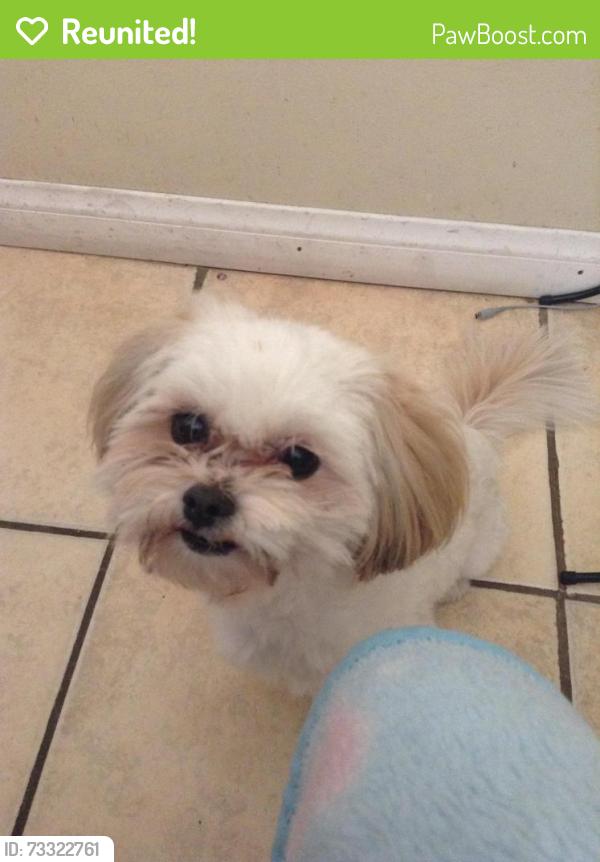 Reunited Male Dog last seen Williams and Allisal, Salinas, CA 93905