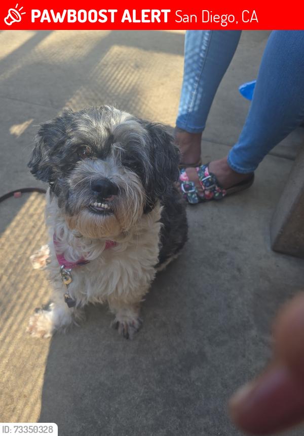 Lost Male Dog last seen Euclid Avenue and Imperial Avenue, San Diego, CA 92102