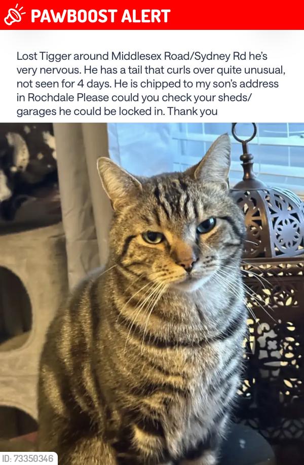 Lost Male Cat last seen Middlesex road Manchester, Greater Manchester, England 