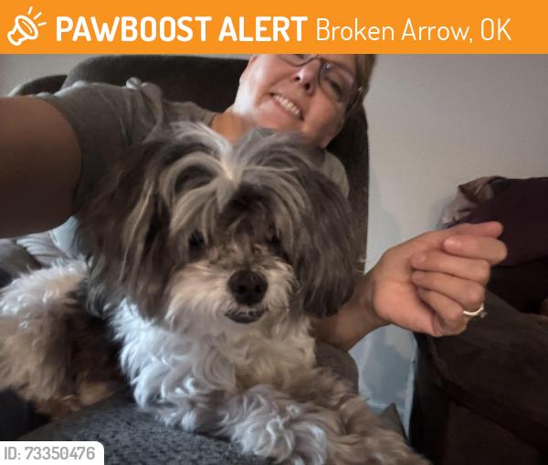 Found/Stray Female Dog last seen 101st south and Evan’s Road, Broken Arrow, OK 74014