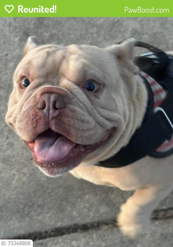 Reunited Male Dog last seen Autumn Woods Subdivisio, Warner Robins, GA 31088