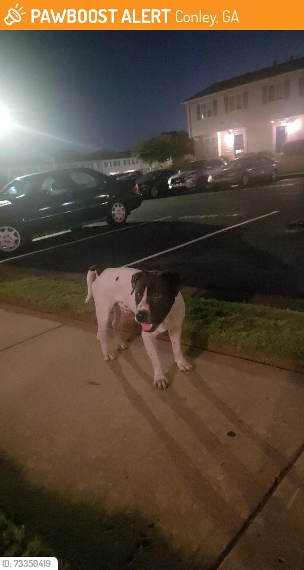 Found/Stray Male Dog last seen Inside gated community, Lexington Square s, Conley, GA 30288