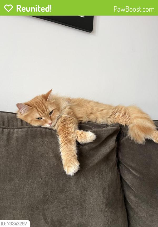 Reunited Male Cat last seen Manbrough place, Winnipeg, MB 