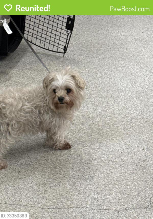 Reunited Male Dog last seen Soundview park, The Bronx, NY 10472