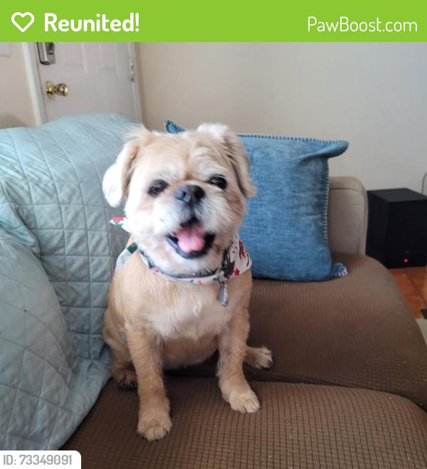 Reunited Female Dog last seen Between Folks and Hanover Roads, Hanover, MI 49241