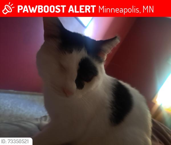Lost Male Cat last seen Egret and Foley, Minneapolis, MN 55448
