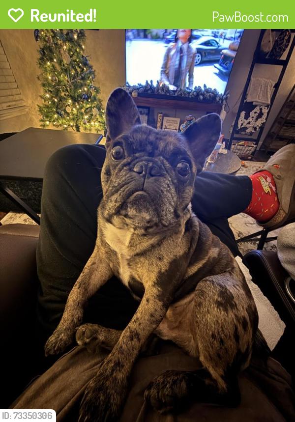 Reunited Male Dog last seen UBP Burger, New Braunfels, TX 78130