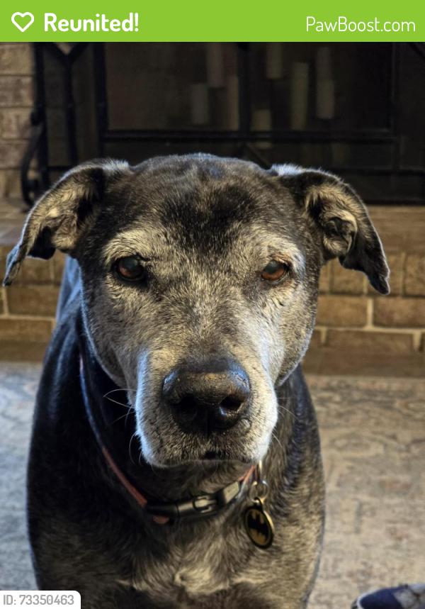 Reunited Male Dog last seen Highboro/RollingAcres/Langdon, Green Valley, MD 21771