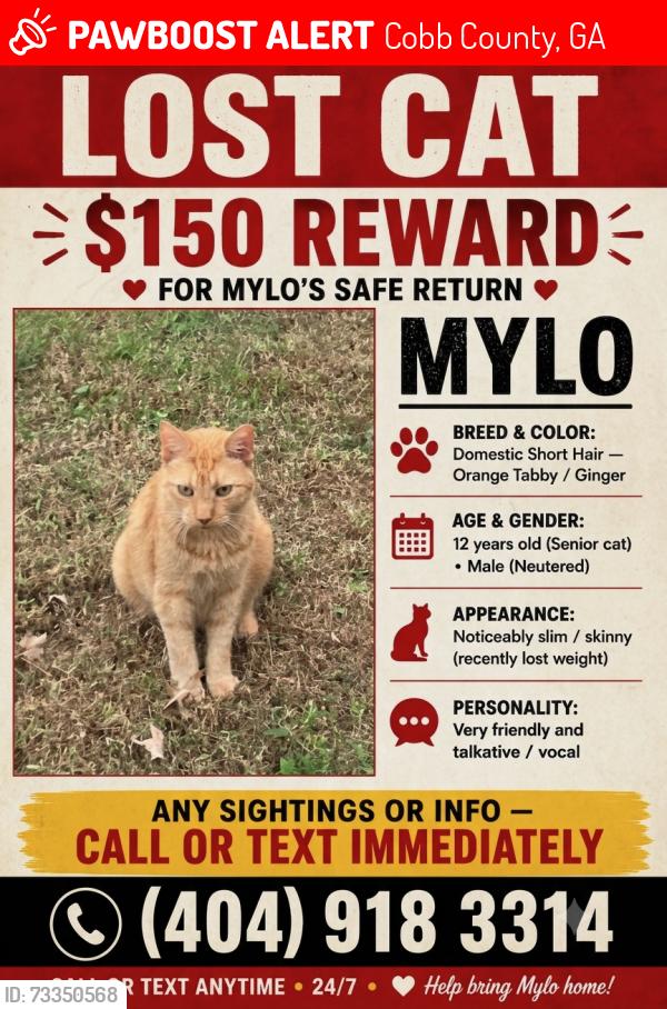 Lost Male Cat last seen Velvet creek way, marietta, Cobb County, GA 30008