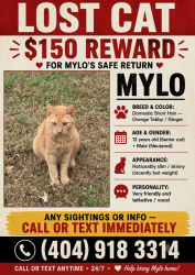 Lost Male Cat last seen Velvet creek way, marietta, Cobb County, GA 30008