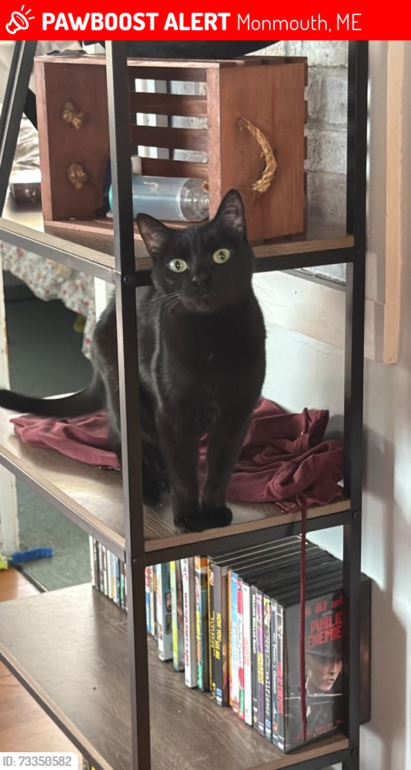 Lost Female Cat last seen Cross and Crown Church, Monmouth, ME 04259