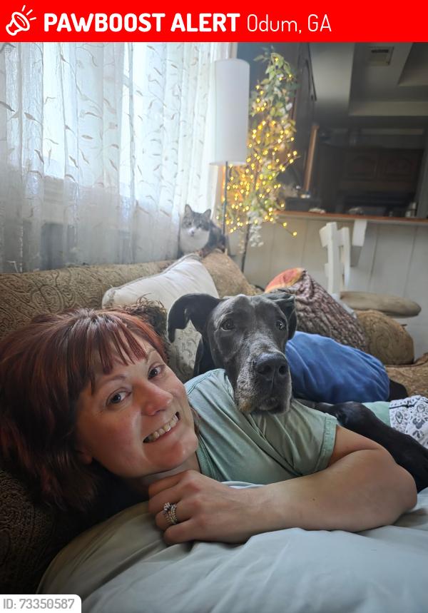 Lost Female Dog last seen Near druid hills road odum, ga 31555, Odum, GA 31555