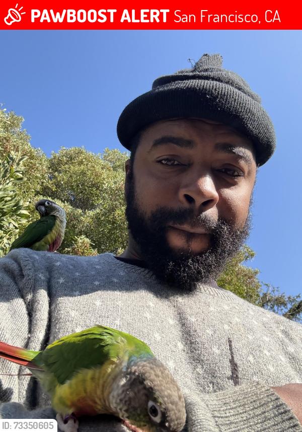 Lost Unknown Bird last seen Lyon, San Francisco, CA 94115