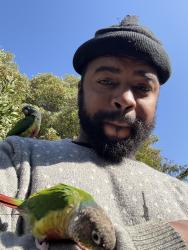 Lost Unknown Bird last seen Lyon, San Francisco, CA 94115