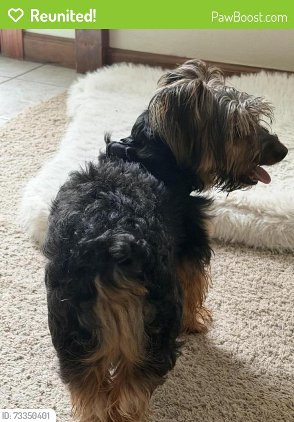 Reunited Male Dog last seen Roundhill, Virginia Beach, VA 22464