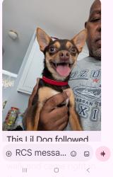 Reunited Male Dog last seen Clarks Fork and Big Sandy, Raleigh, NC 27616