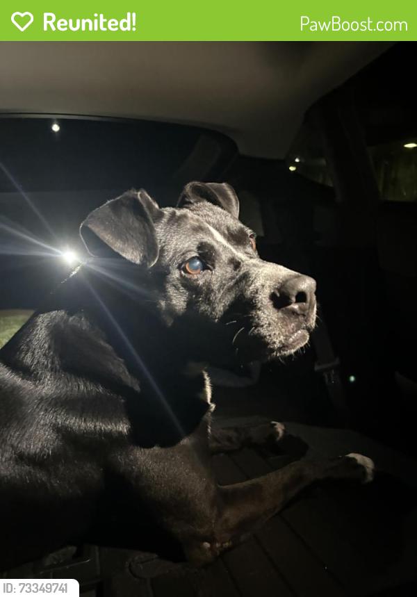 Reunited Male Dog last seen Found by walks and wags/ azela Ed, Mobile, AL 36693